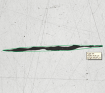 Inclusion worst field solution