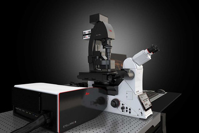 數字光片顯微鏡 STELLARIS DLS