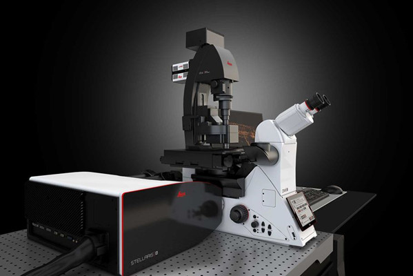 數字光片顯微鏡 STELLARIS DLS