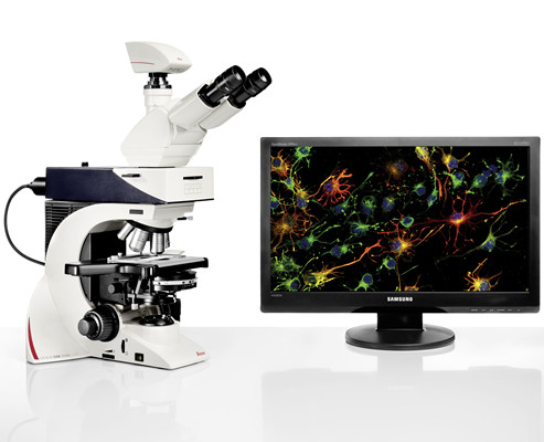 Leica DM2500 & DM2500 LED 熒光顯微鏡