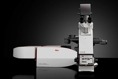 STED 顯微鏡 STELLARIS STED & STELLARIS 8 STED