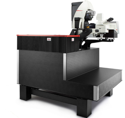 STELLARIS 8 DIVE多光子共聚焦顯微鏡