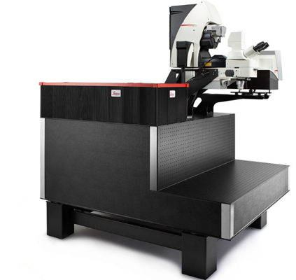 STELLARIS 8 DIVE多光子共聚焦顯微鏡