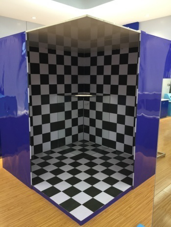 光學隱形實驗系統