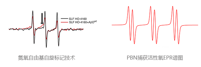 氮氧自由基自旋標(biāo)記技術(shù)11624348252747.png